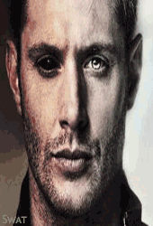 Swat - ait Kullan�c� Resmi (Avatar)